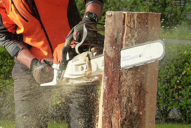 chainsaw art