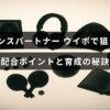 ウイニングポストでダンスパートナーを活かすための配合のポイントと効果的な育成方法を示した画像。