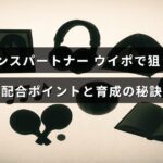 ウイニングポストでダンスパートナーを活かすための配合のポイントと効果的な育成方法を示した画像。