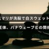 白スウェットを着た辺見マリの写真と、拝み屋やパナウェーブに関するテーマを示すイメージが中央に配置された画像です。洗脳の疑惑や関係性について解説する記事の特徴を表しています。