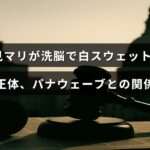 白スウェットを着た辺見マリの写真と、拝み屋やパナウェーブに関するテーマを示すイメージが中央に配置された画像です。洗脳の疑惑や関係性について解説する記事の特徴を表しています。