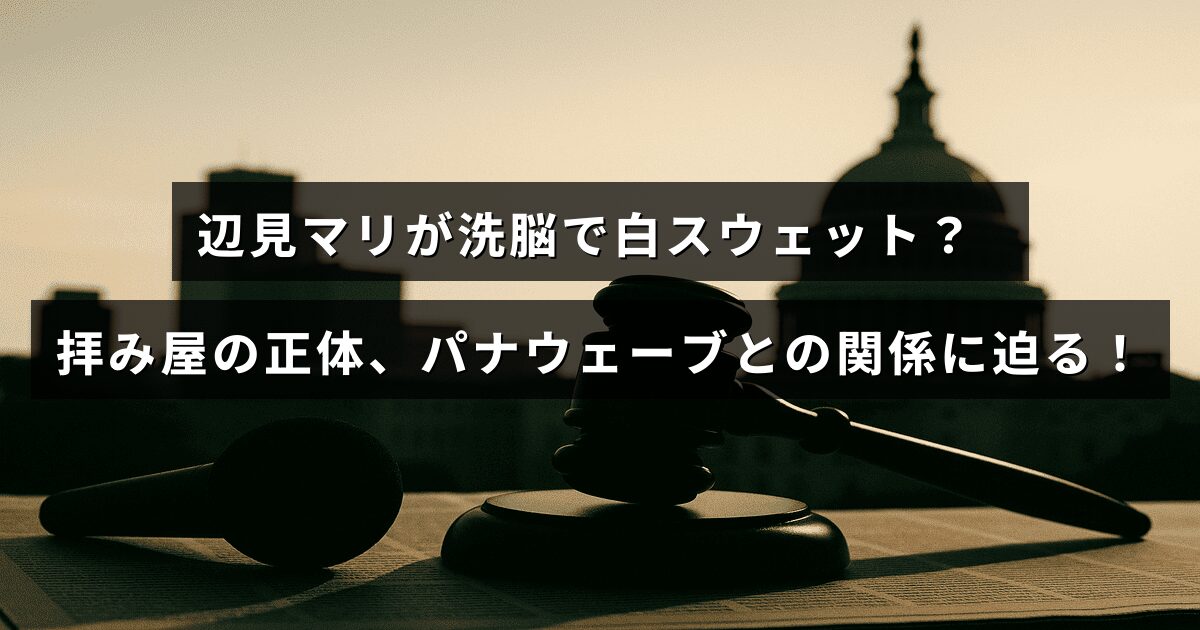 白スウェットを着た辺見マリの写真と、拝み屋やパナウェーブに関するテーマを示すイメージが中央に配置された画像です。洗脳の疑惑や関係性について解説する記事の特徴を表しています。