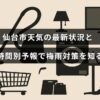 仙台市の現在の気象情報と時間ごとの予報が表示され、梅雨の対策に役立つ内容を示す画像