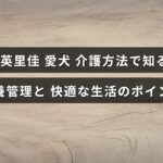 愛犬の健康を支える栄養管理や介護方法の重要なポイントが示された説明文が中央に配置された画像