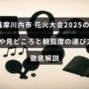 薩摩川内市の2025年花火大会の開催日やおすすめポイント、観覧席の選び方をわかりやすく紹介する記事のタイトルが中央に表示された画像。