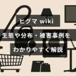ヒグマの生態や生息地域、被害に関する情報をわかりやすくまとめた解説記事の見出しが中央に表示された画像
