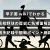 甲子園での高校野球の歴史や名場面、主要選手の記録と観戦ポイントを分かりやすく解説する内容を表すビジュアルで、記事見出しの文字が画像中央に配置されている。