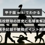 甲子園での高校野球の歴史や名場面、主要選手の記録と観戦ポイントを分かりやすく解説する内容を表すビジュアルで、記事見出しの文字が画像中央に配置されている。